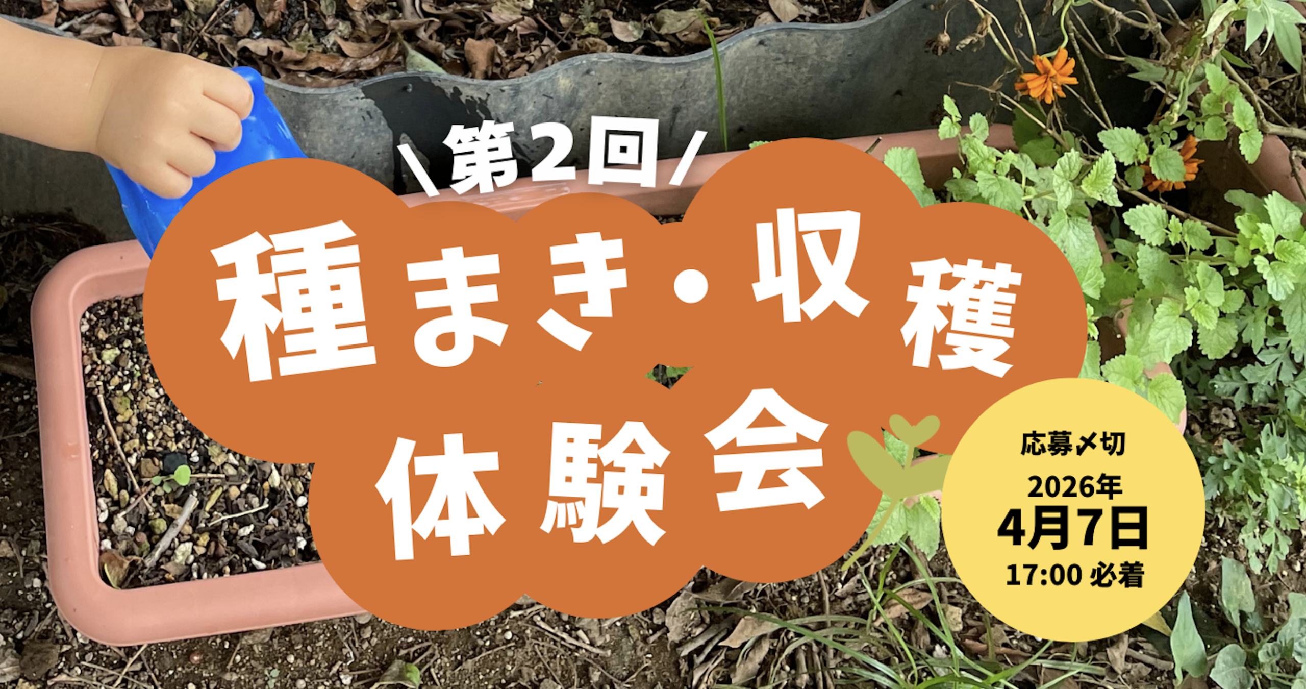 【ちびっこ募集！】第２回 種まき・収穫体験会