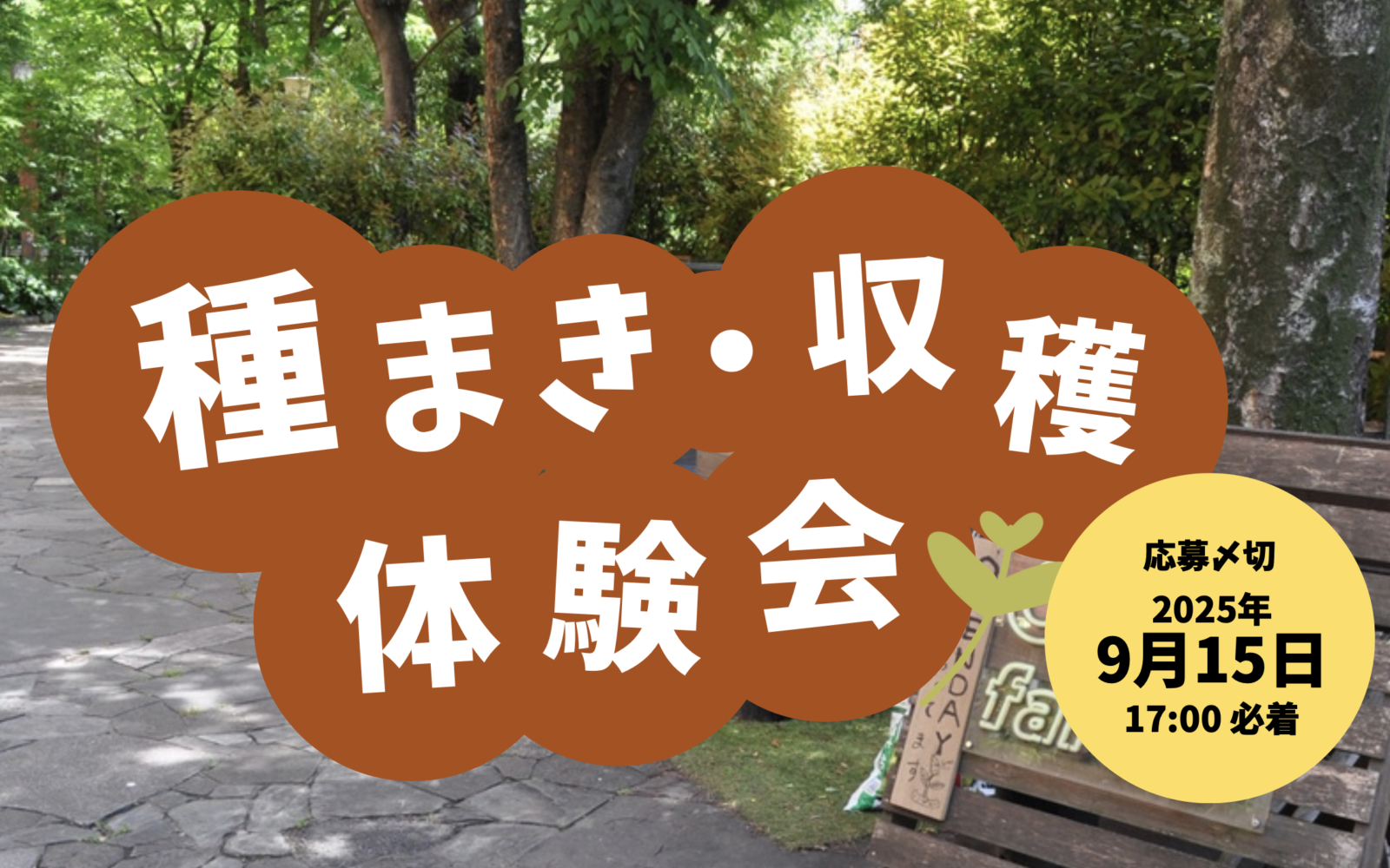 【ちびっこ募集!】種まき・収穫体験会 in 仮設FARM(初台)
