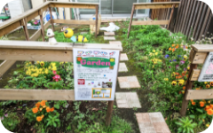 ササハタハツ花コミュニティ2022